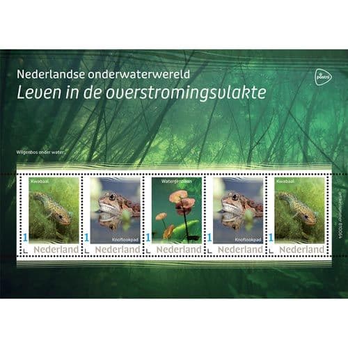 Abonnement Nederlandse onderwaterwereld