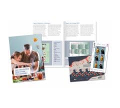 Abonnement Jaarcollectie Nederlandse Postzegelvellen