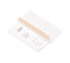 DL Enveloppen met hechtstrip (25 st.)